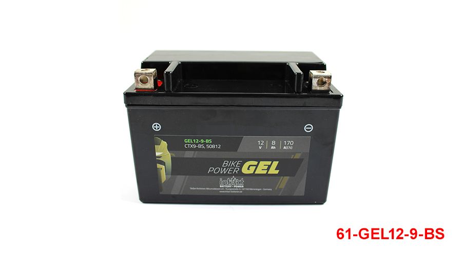 BMW G 310 R Gelbatterie