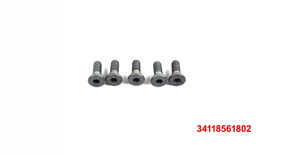 BMW G 310 R 5x Schrauben für Bremsscheibe vorne / hinten