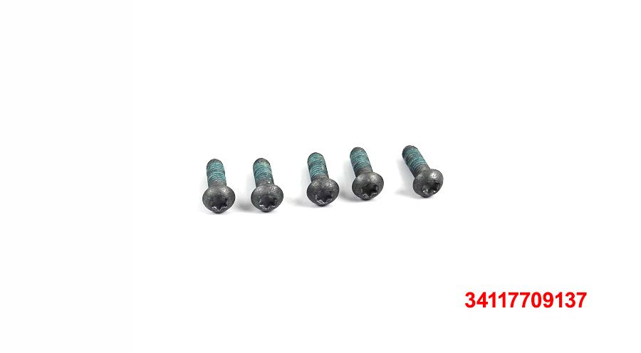 BMW F650GS (08-12), F700GS & F800GS (08-18) 5x Schrauben M6x18-8.8-MK