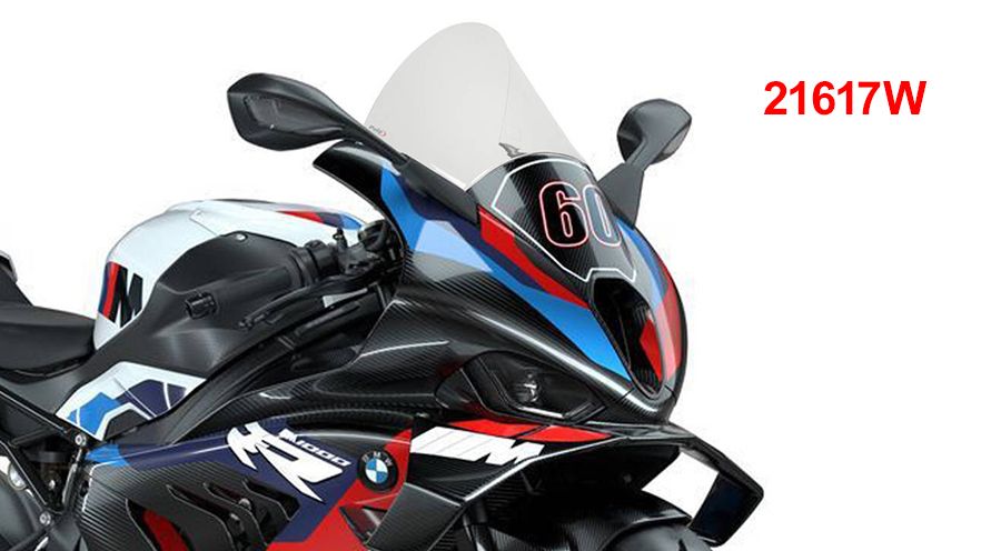 BMW S1000RR (2019- ) Windschild R-Racer