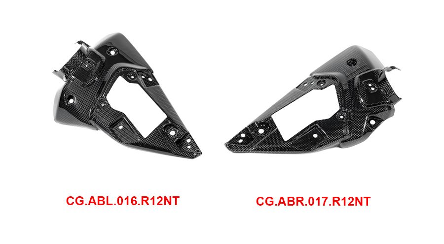 BMW R12nineT, R12, R12S & R12G/S Carbon Airbox-Abdeckung