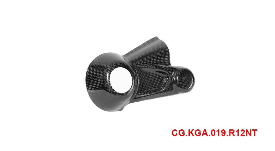 BMW R12nineT, R12, R12S & R12G/S Carbon Kardangehäuse-Abdeckung