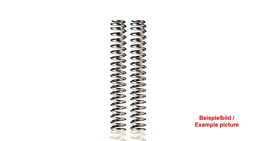 BMW R12nineT, R12, R12S & R12G/S Wilbers Gabelfedern progressiv