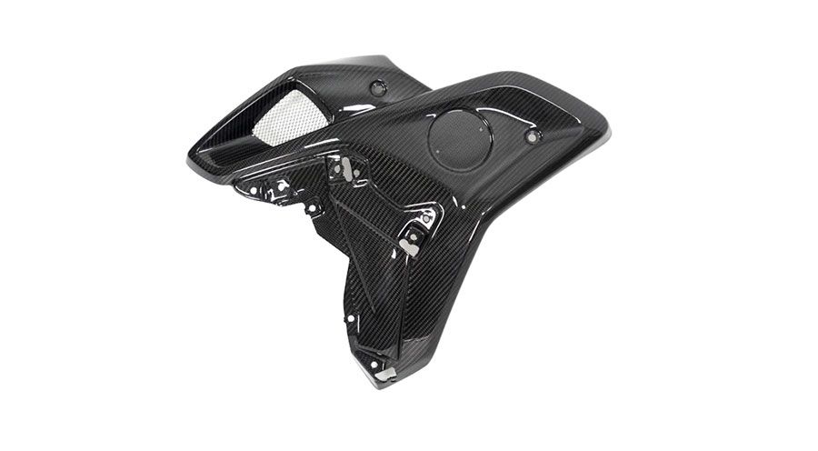 BMW R 1250 GS & R 1250 GS Adventure Carbon Luftführung links