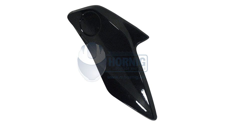 BMW R 1200 GS LC (2013-2018) & R 1200 GS Adventure LC (2014-2018) Carbon Kühlerabdeckung rechts