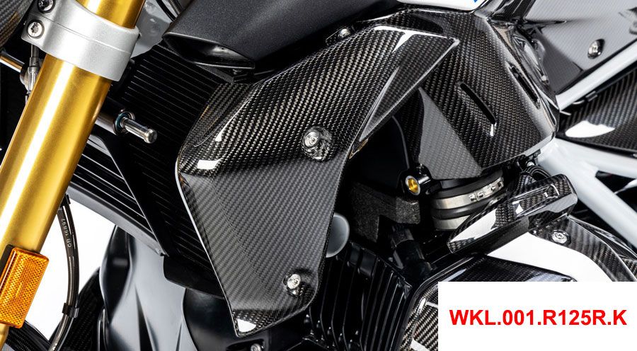 BMW R 1250 R Carbon Kühlerverkleidung