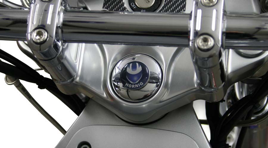 BMW R850C, R1200C Lenkkopfabd. m. Emblem