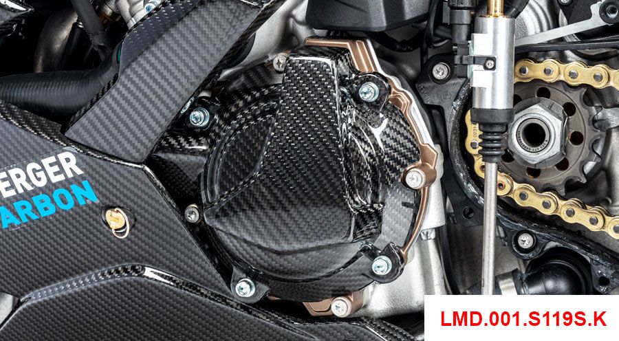 BMW S1000R (2021- ) Lichtmaschinendeckelabdeckung