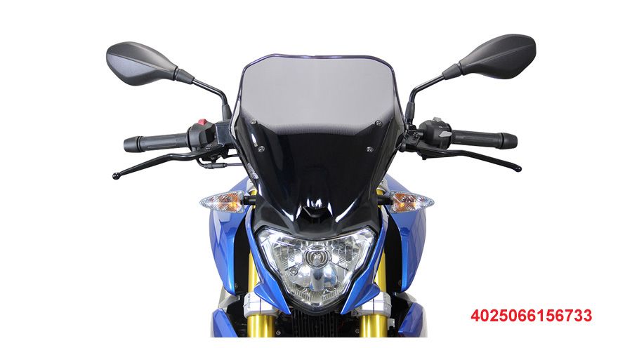 BMW G 310 R Racingscheibe