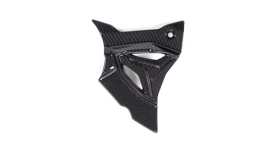 BMW S1000RR (2019- ) Carbon Ritzelabdeckung