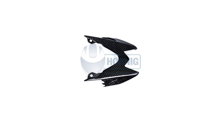 BMW S1000RR (2009-2018) Carbon Rücklichtverkleidung