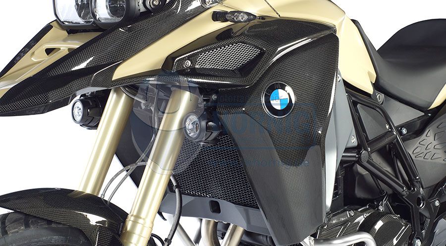 BMW F650GS (08-12), F700GS & F800GS (08-18) Carbon Seitenverkleidung links