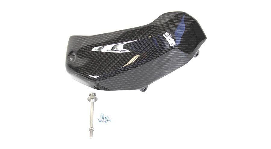 BMW R 1250 R Carbon Ventildeckelabdeckung rechts