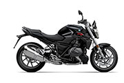 Die neue BMW R1250R