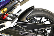 ABS Kotflügel hinten für BMW F900R & F900XR