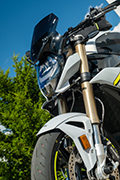 BMW S1000R (2021) Umbau von Hornig