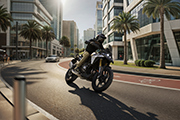Die neue BMW F450GS